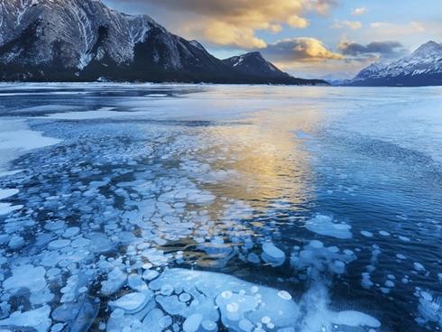 Hướng dẫn chi tiết đi lại và ăn chơi trên đảo Nami - Hàn Quốc-4