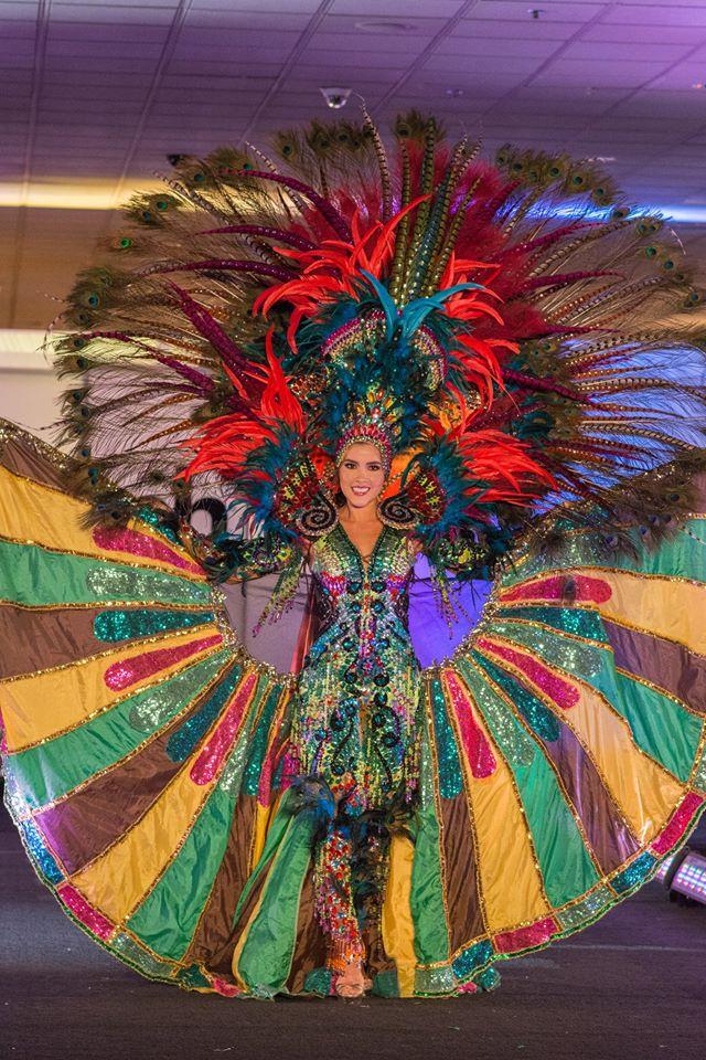 Những màn trình diễn trang phục dân tộc xuất sắc tại Hoa hậu Hoàn vũ Thế giới 2017-4
