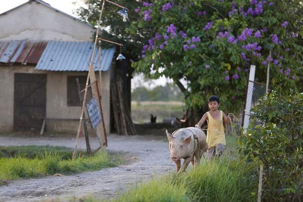 Ông bố nông dân Lương Mạnh Hải la hét hoảng loạn khi bị cua kẹp-4