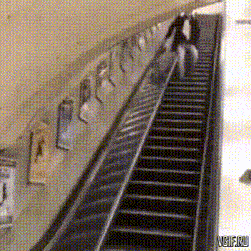 Khi các thanh niên thấy đi thang cuốn quá nhàm chán-3