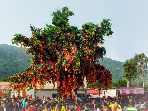 Cô gái Việt chi hơn 300 triệu du lịch châu Âu khiến dân mạng phát hờn vì ghen-14