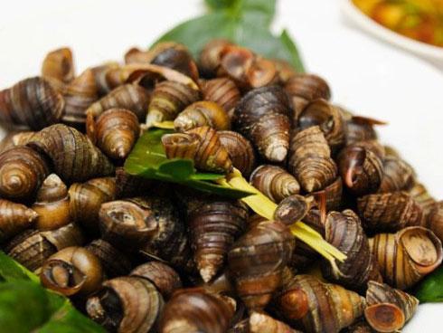 Cách chọn, làm sạch và luộc ốc giòn ngon đến ai cũng phải hỏi bí quyết