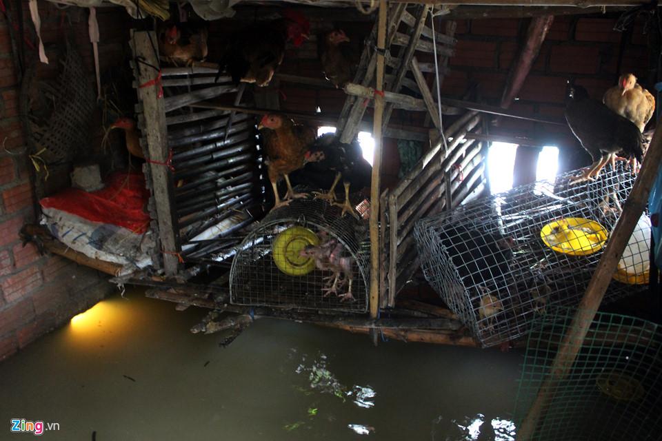 Người dân Quảng Nam lại tất bật chạy lũ-10