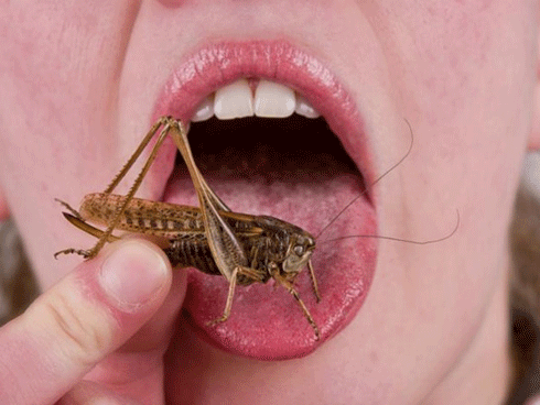 Tổng hợp món ngon 3 miền hấp dẫn không thể cưỡng lại-10