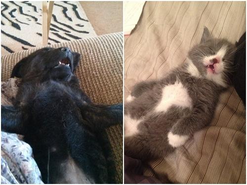 Những cặp bố con bá đạo nhất quả đất-1