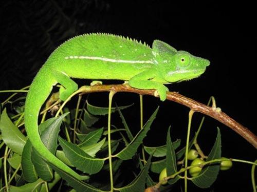 Bắt gặp những tình huống oái oăm khi đi thang máy-6