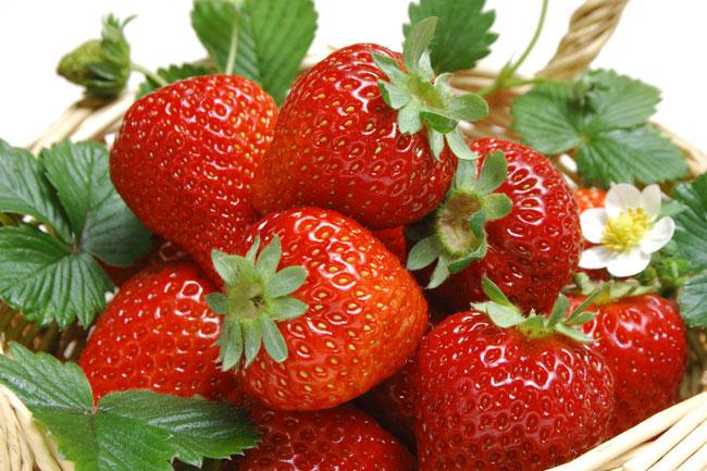 Những món ăn ngon số một tại Lâm Đồng-7