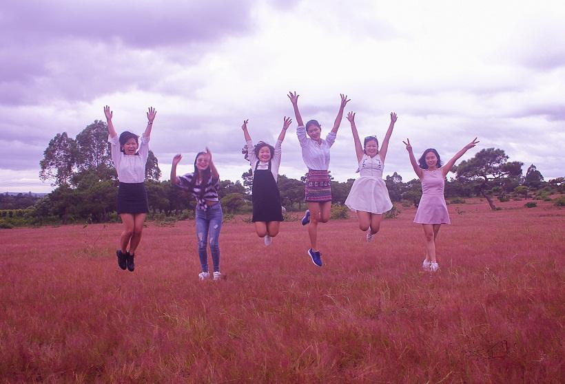 Đồi cỏ hồng ở Gia Lai đẹp như tranh vẽ hút khách đầu đông-4