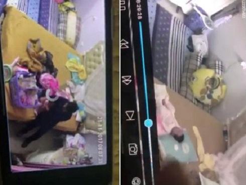 Cảnh sát điều tra vụ bé gái 1 tháng tuổi bị người giúp việc bạo hành-2