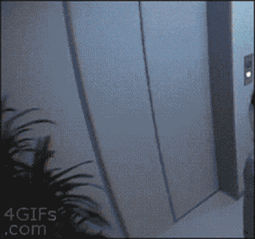 Bắt gặp những tình huống oái oăm khi đi thang máy-1