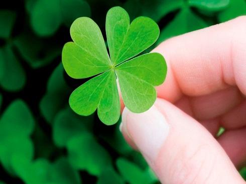 Hết tháng 11, con giáp nào công danh sự nghiệp THĂNG TIẾN ẦM ẦM, TIỀN BẠC đua nhau đổ về túi