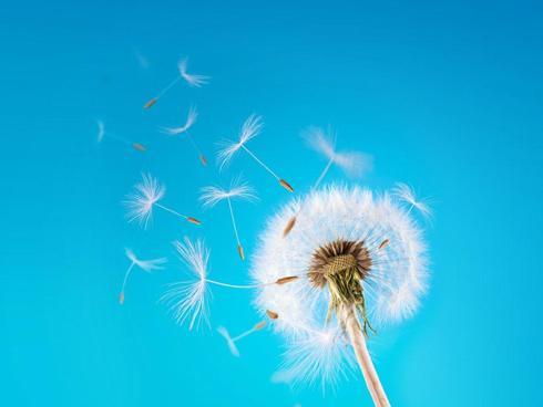 Tử vi thứ 7 ngày 25/11/2017 của 12 cung hoàng đạo