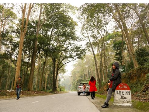 Clip: Trời hửng nắng, những vườn cúc họa mi ở Hà Nội đông nghịt du khách-1