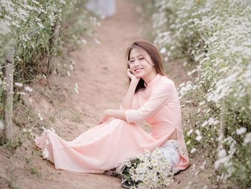 Clip: Trời hửng nắng, những vườn cúc họa mi ở Hà Nội đông nghịt du khách