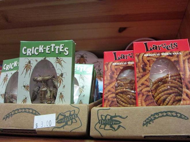 5 món ăn quen thuộc bỗng trở thành kinh dị khi làm từ côn trùng-3