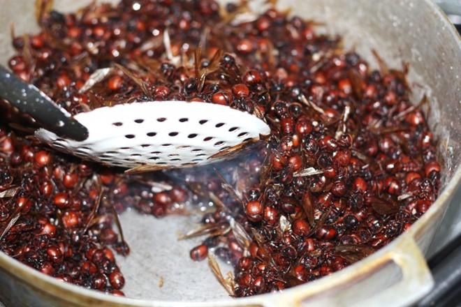 5 món ăn quen thuộc bỗng trở thành kinh dị khi làm từ côn trùng-4