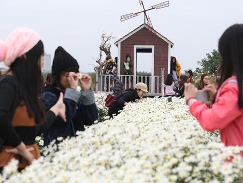 Hoa súng nở muộn, tô hồng sắc đông ở suối Yến-10