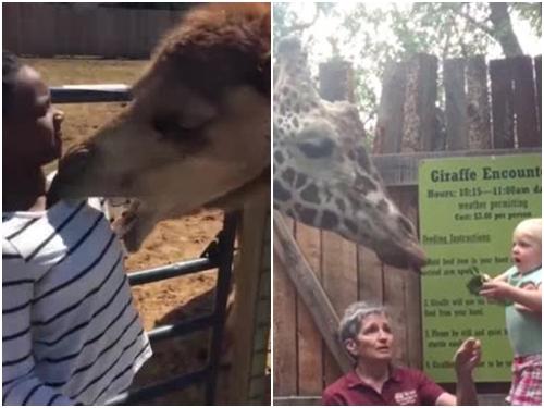 Phản ứng 'khó đỡ' của trẻ khi lần đầu tiên đến công viên