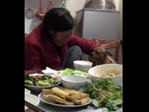 'Con sen' ngồi khóc trong nước mắt khi nhìn mẹ ruột bón cơm cho thú cưng