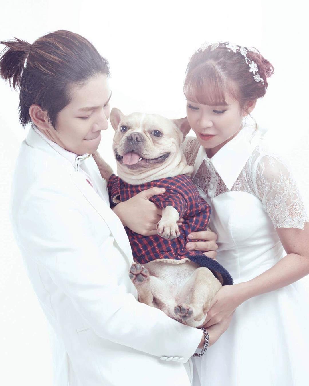 Tin sao Việt: Thần tiên tỷ tỷ Đặng Thu Thảo tái xuất rạng rỡ sau bức ảnh gầy gò, luộm thuộm-6