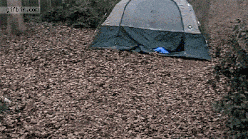 Đừng bao giờ quên phòng thủ khi đi ngủ-3