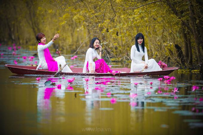 Hoa súng nở muộn, tô hồng sắc đông ở suối Yến-6