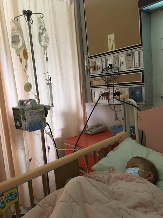 Dòng tâm sự xúc động của mẹ dành cho con gái 5 tuổi bị ung thư máu-2