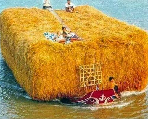 Những hình ảnh bá đạo có một không hai ở Châu Á-2