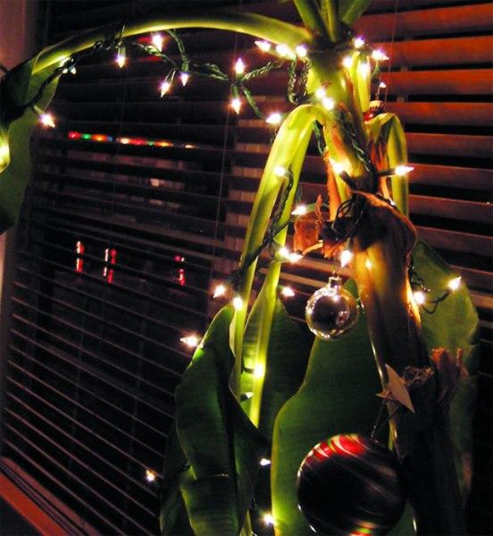 Những phong tục đón Giáng sinh độc nhất vô nhị trên thế giới-6