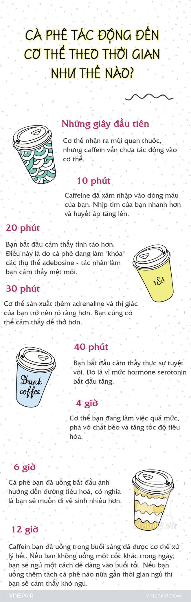 Khi uống 1 ly cafe, bạn có chắc đã nắm được sự tác động của nó lên cơ thể từng giây từng phút như thế nào?-2