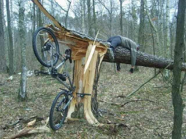 Tình yêu có cất được cánh không anh?-1