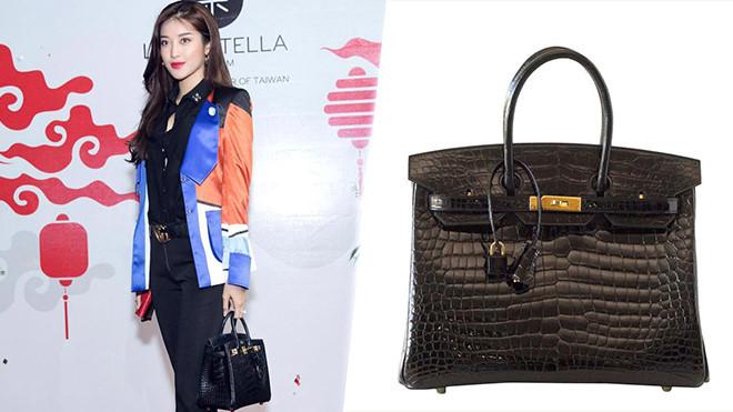 Những mẫu túi xách đắt giá của người đẹp Việt-1
