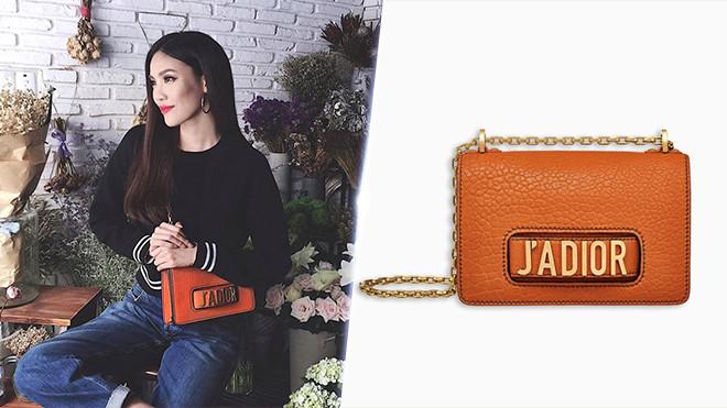 Những mẫu túi xách đắt giá của người đẹp Việt-7