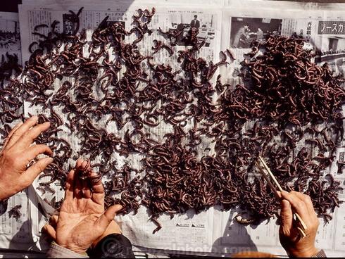 Các cách nấu cháo nấm thơm ngon lạ miệng-4