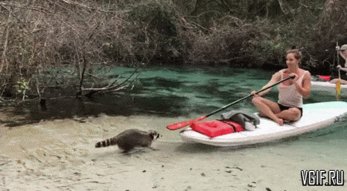 Những cô nàng khiến các chàng sẵn sàng bỏ xem bóng đá-2