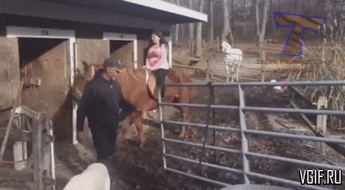 Những cô nàng khiến các chàng sẵn sàng bỏ xem bóng đá-5