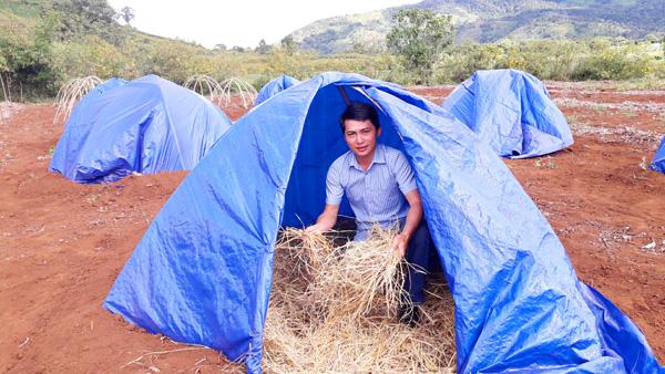 Lễ hội hoa dã quỳ: Hàng ngàn du khách thất vọng vì chỉ thấy hoa tàn lụi-4