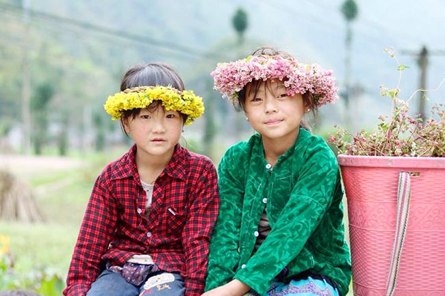 Phát cuồng vẻ đẹp hoa tam giác mạch bung nở trên sườn núi đá Hà Giang-10