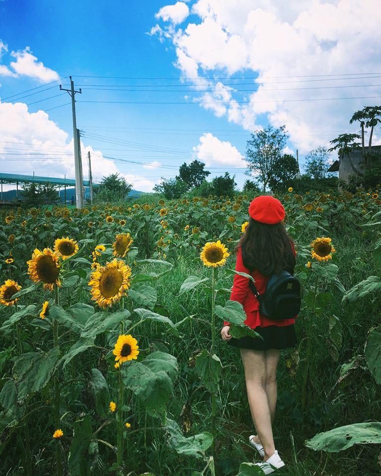 Có hẹn với Đà Lạt – Chuyến đi của cô gái 9x khiến hàng ngàn người thích thú-13