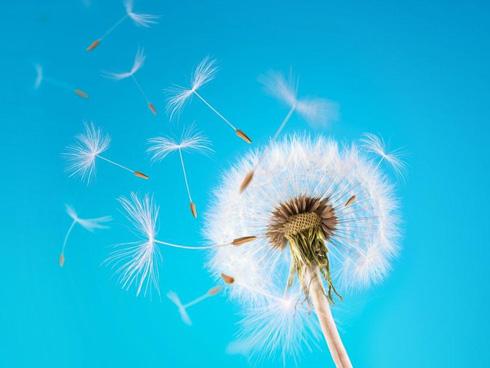 Tử vi thứ 3 ngày 05/12/2017 của 12 cung hoàng đạo