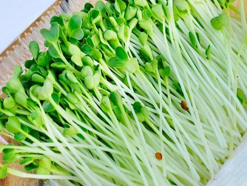 Da trắng và mịn lên trông thấy nhờ chăm ăn những nhóm quả này-6