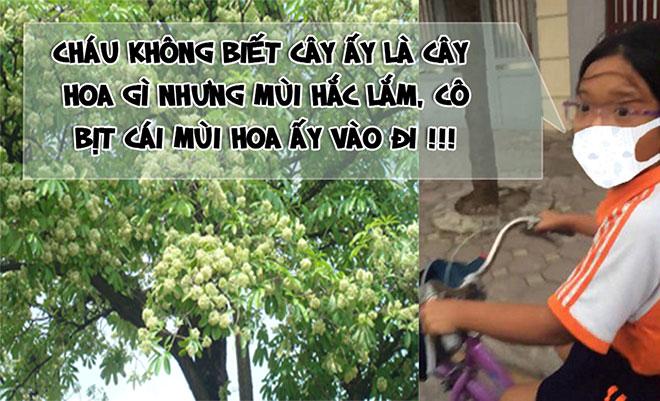 Cô là ai? Làm ơn bịt cái mùi hoa sữa lại đi!-1