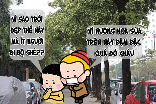 Cô là ai? Làm ơn bịt cái mùi hoa sữa lại đi!-2