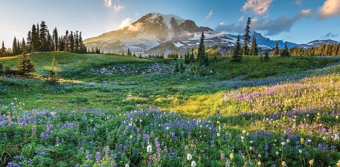 Ashford, Washington: Nằm gần Vườn quốc gia Mount Rainier, thị trấn Ashford đẹp hút hồn với những rừng cây xanh ngút ngàn.