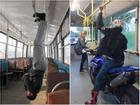 Những hình ảnh 'không ngờ' xuất hiện trên xe buýt