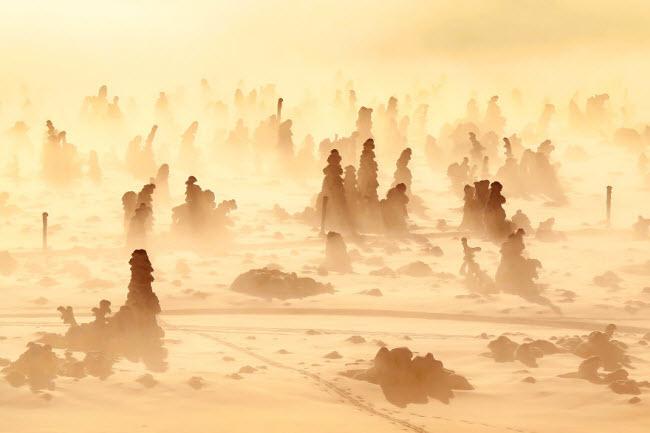 Lạc vào mùa đông kỳ diệu trên núi ở Ba Lan-13