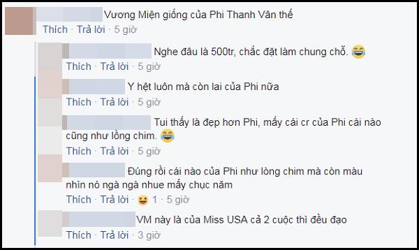 Vương miện Phi Thanh Vân vừa được trao vướng nghi án hàng nhái sản xuất theo lô-4