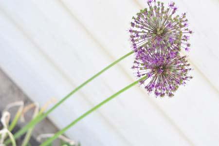 Tử vi thứ 4 ngày 06/12/2017 của 12 cung hoàng đạo-2