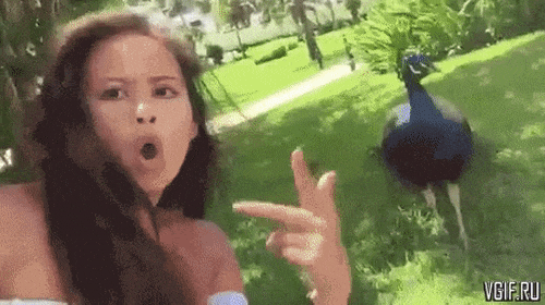 Đau ruột với các nàng dân chơi thích thể hiện-3