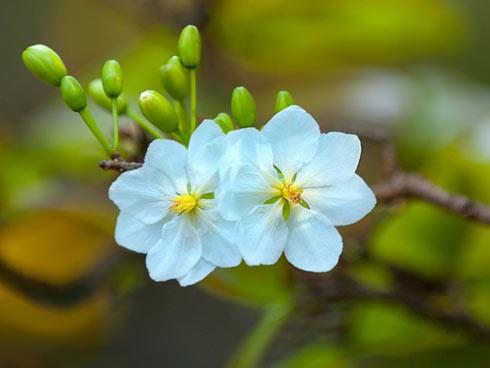 3 anh chàng Hoàng đạo này chính là những ông chồng đáng tin cậy nhất trên đời-2